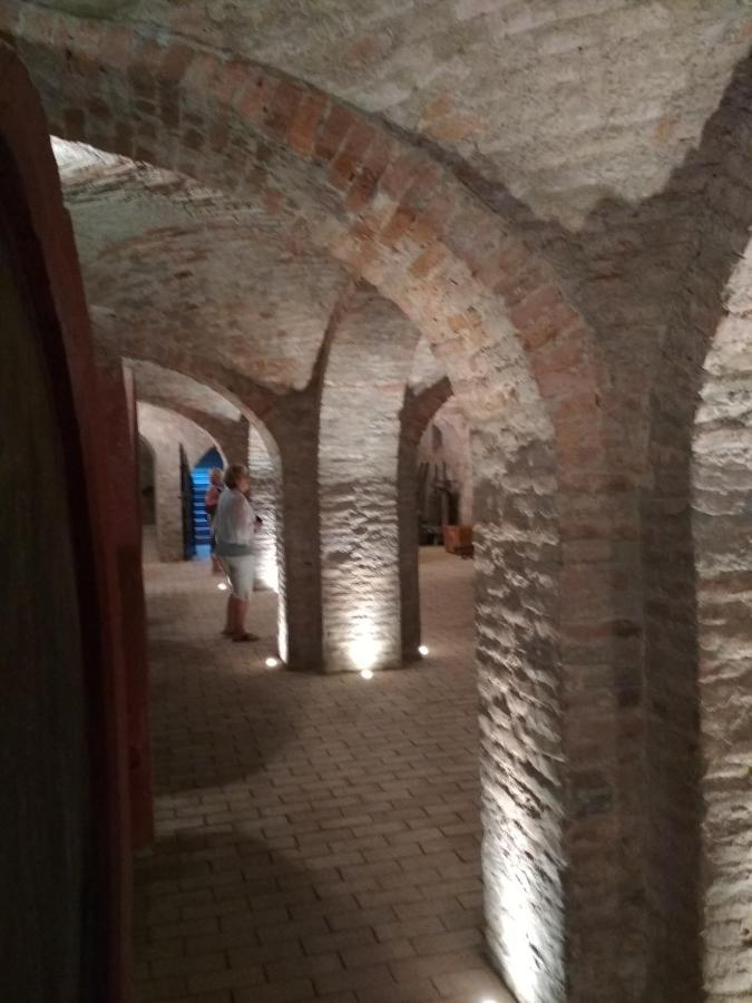 Golya Vendeghaz *