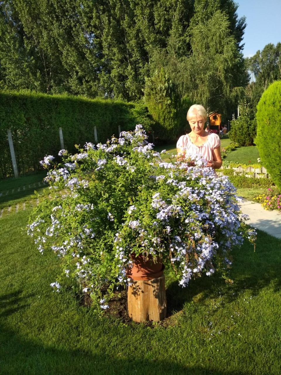 Apartment Golya Vendeghaz Tiszaug